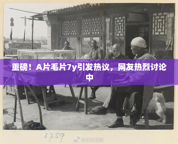 重磅！A片毛片7y引发热议，网友热烈讨论中