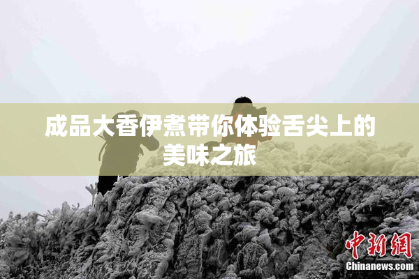 成品大香伊煮带你体验舌尖上的美味之旅