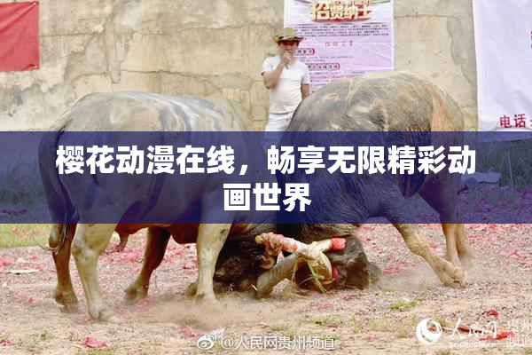 樱花动漫在线，畅享无限精彩动画世界