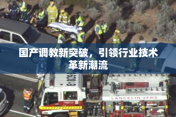 国产调教新突破，引领行业技术革新潮流