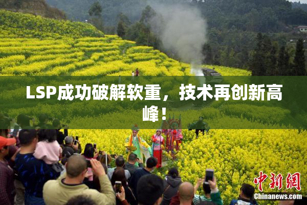 LSP成功破解软重，技术再创新高峰！