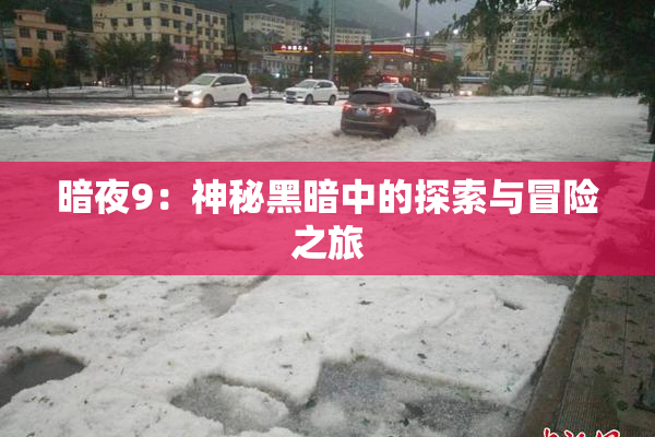 暗夜9：神秘黑暗中的探索与冒险之旅