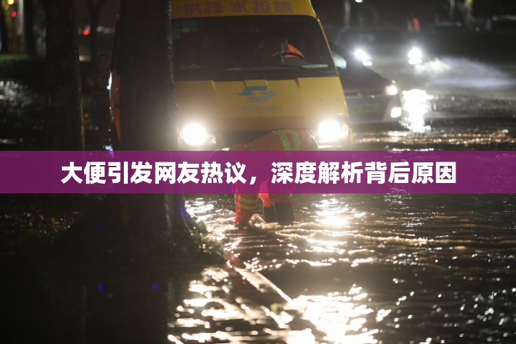 大便引发网友热议，深度解析背后原因