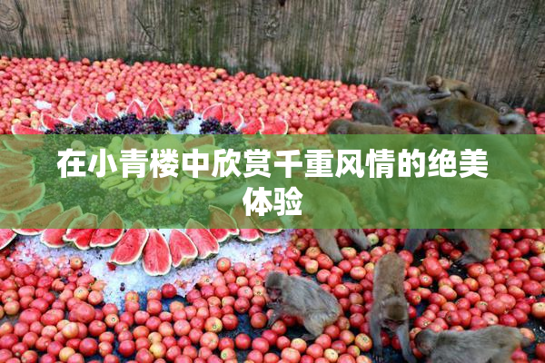 在小青楼中欣赏千重风情的绝美体验
