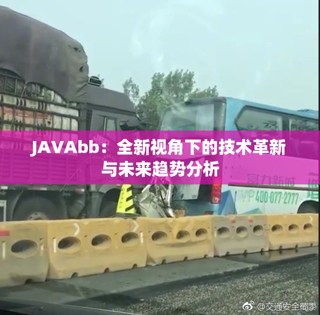 JAVAbb：全新视角下的技术革新与未来趋势分析