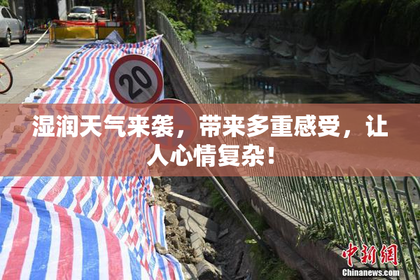 湿润天气来袭，带来多重感受，让人心情复杂！