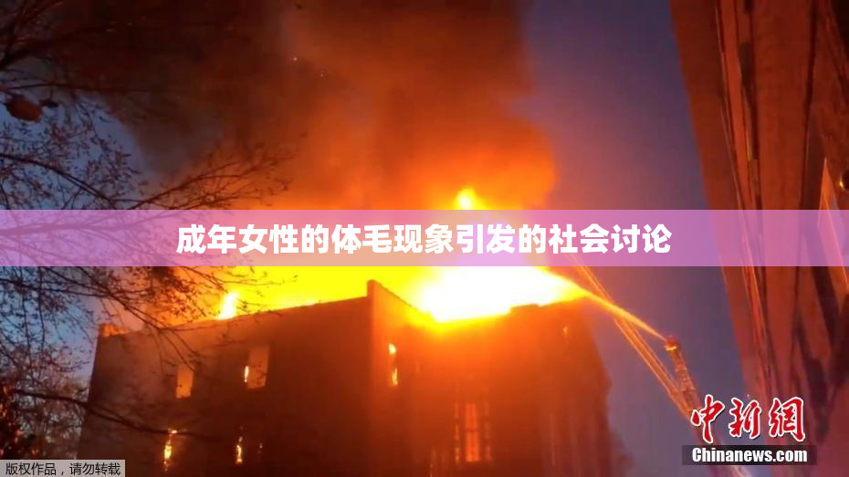 成年女性的体毛现象引发的社会讨论