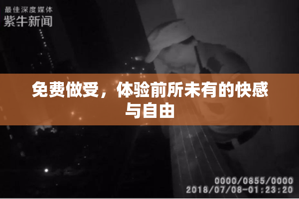 免费做受，体验前所未有的快感与自由