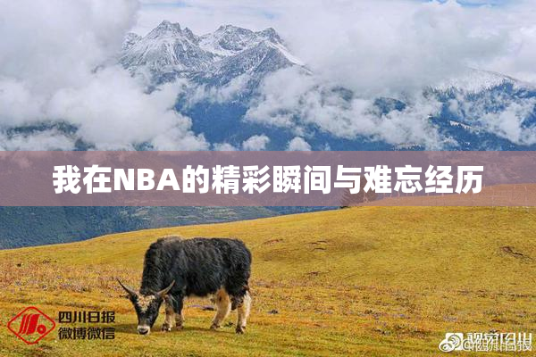 我在NBA的精彩瞬间与难忘经历