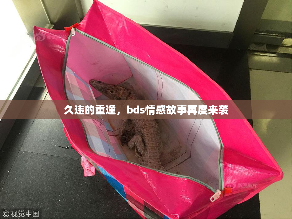 久违的重逢，bds情感故事再度来袭