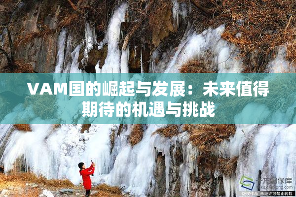 VAM国的崛起与发展：未来值得期待的机遇与挑战