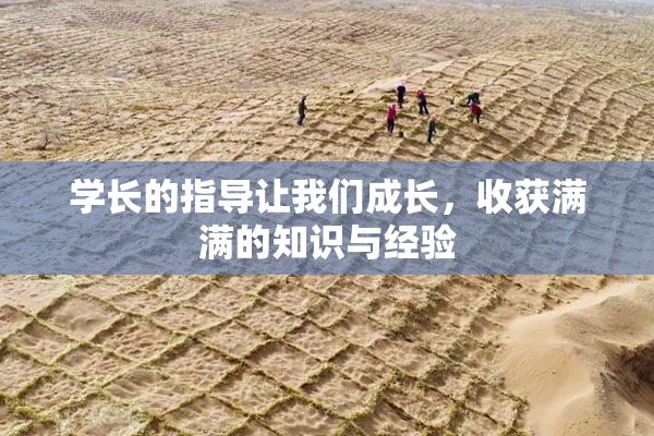 学长的指导让我们成长，收获满满的知识与经验