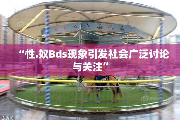 “性.奴Bds现象引发社会广泛讨论与关注”