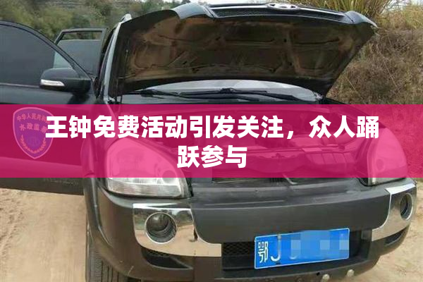 王钟免费活动引发关注，众人踊跃参与