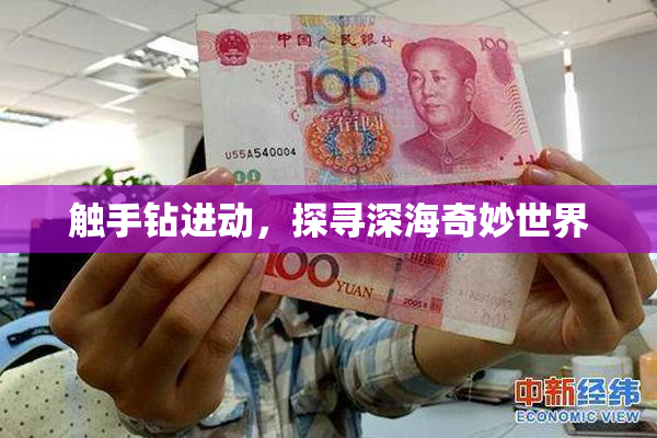 触手钻进动，探寻深海奇妙世界