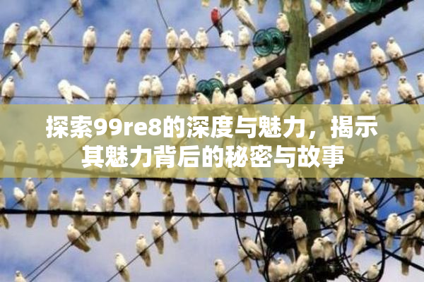 探索99re8的深度与魅力，揭示其魅力背后的秘密与故事