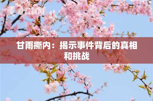 甘雨撕内：揭示事件背后的真相和挑战