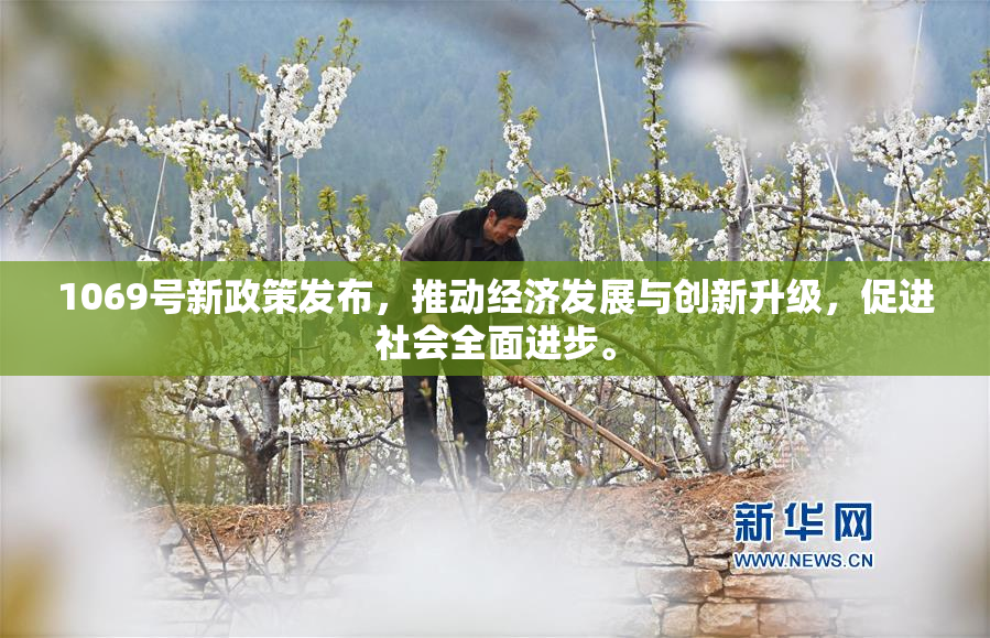 1069号新政策发布，推动经济发展与创新升级，促进社会全面进步。