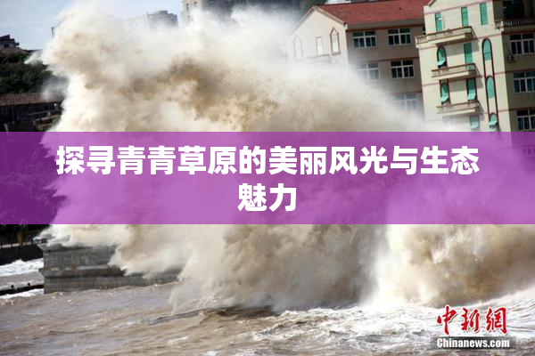 探寻青青草原的美丽风光与生态魅力