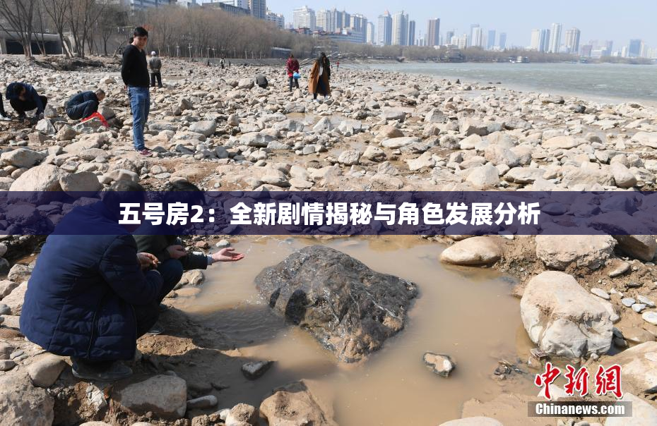 五号房2：全新剧情揭秘与角色发展分析