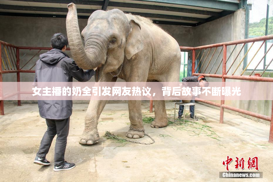 女主播的奶全引发网友热议，背后故事不断曝光