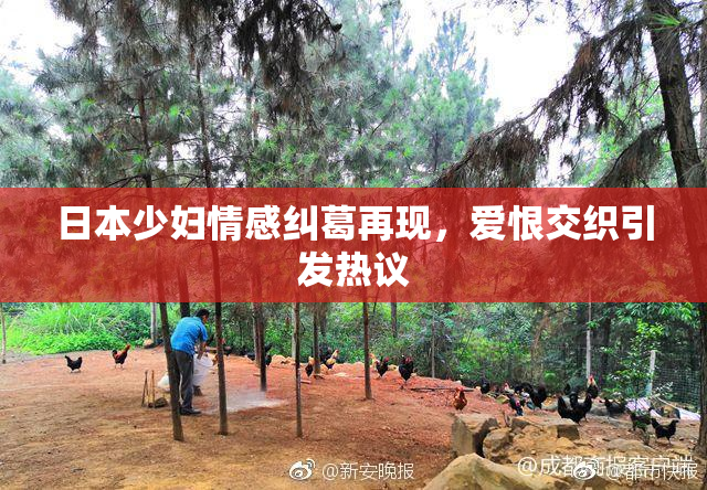 日本少妇情感纠葛再现，爱恨交织引发热议
