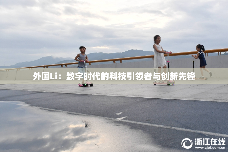 外国Li：数字时代的科技引领者与创新先锋