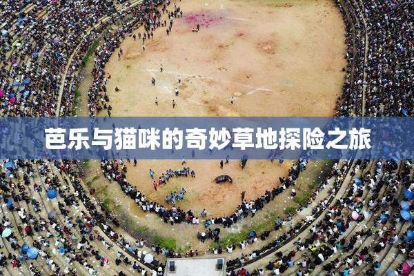 芭乐与猫咪的奇妙草地探险之旅