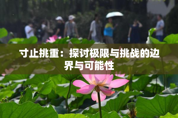 寸止挑重：探讨极限与挑战的边界与可能性