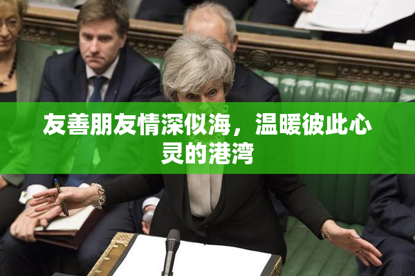 友善朋友情深似海，温暖彼此心灵的港湾