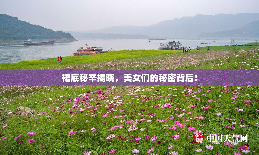 裙底秘辛揭晓，美女们的秘密背后！