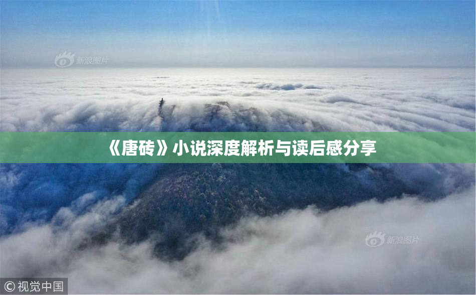 《唐砖》小说深度解析与读后感分享