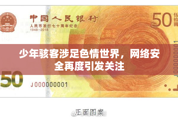 少年骇客涉足色情世界，网络安全再度引发关注