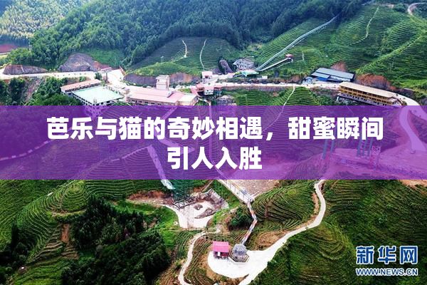 芭乐与猫的奇妙相遇，甜蜜瞬间引人入胜