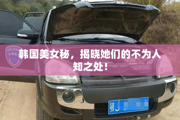 韩国美女秘，揭晓她们的不为人知之处！