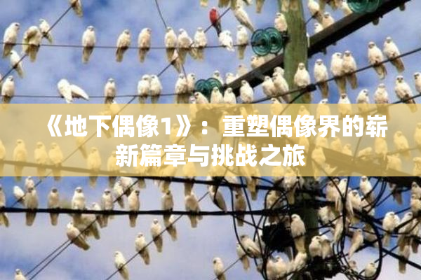 《地下偶像1》：重塑偶像界的崭新篇章与挑战之旅