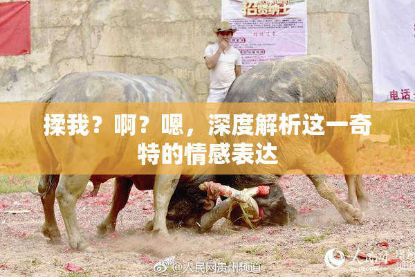 揉我？啊？嗯，深度解析这一奇特的情感表达