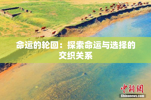 命运的轮回：探索命运与选择的交织关系
