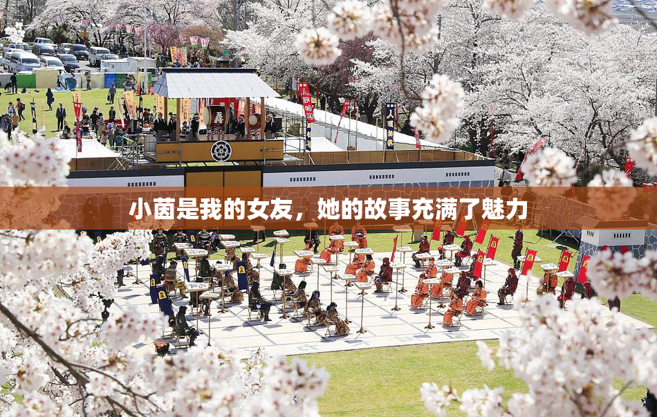 小茵是我的女友，她的故事充满了魅力