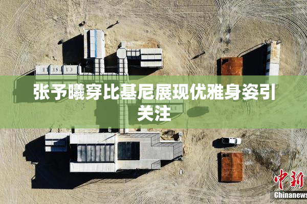 张予曦穿比基尼展现优雅身姿引关注
