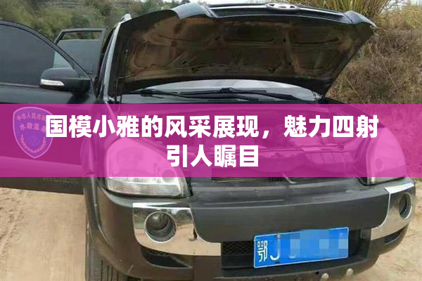 国模小雅的风采展现，魅力四射引人瞩目