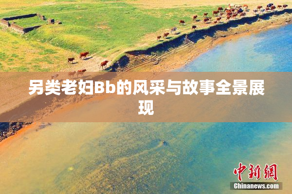另类老妇Bb的风采与故事全景展现