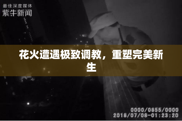 花火遭遇极致调教，重塑完美新生