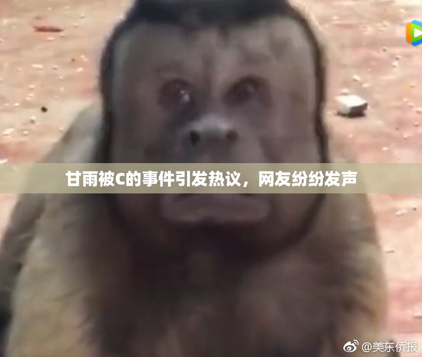 甘雨被C的事件引发热议，网友纷纷发声
