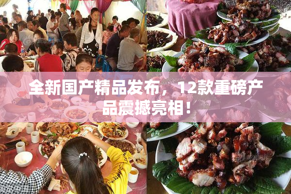 全新国产精品发布，12款重磅产品震撼亮相！