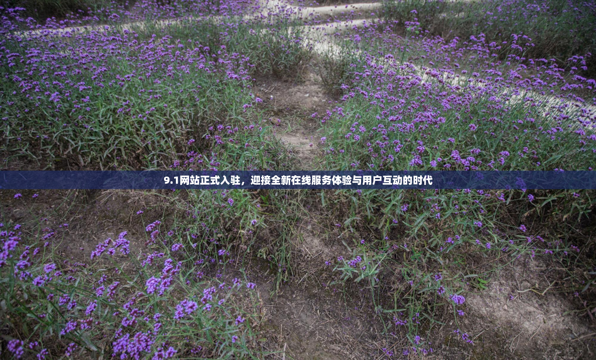 9.1网站正式入驻，迎接全新在线服务体验与用户互动的时代