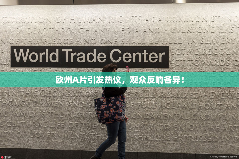 欧州A片引发热议，观众反响各异！