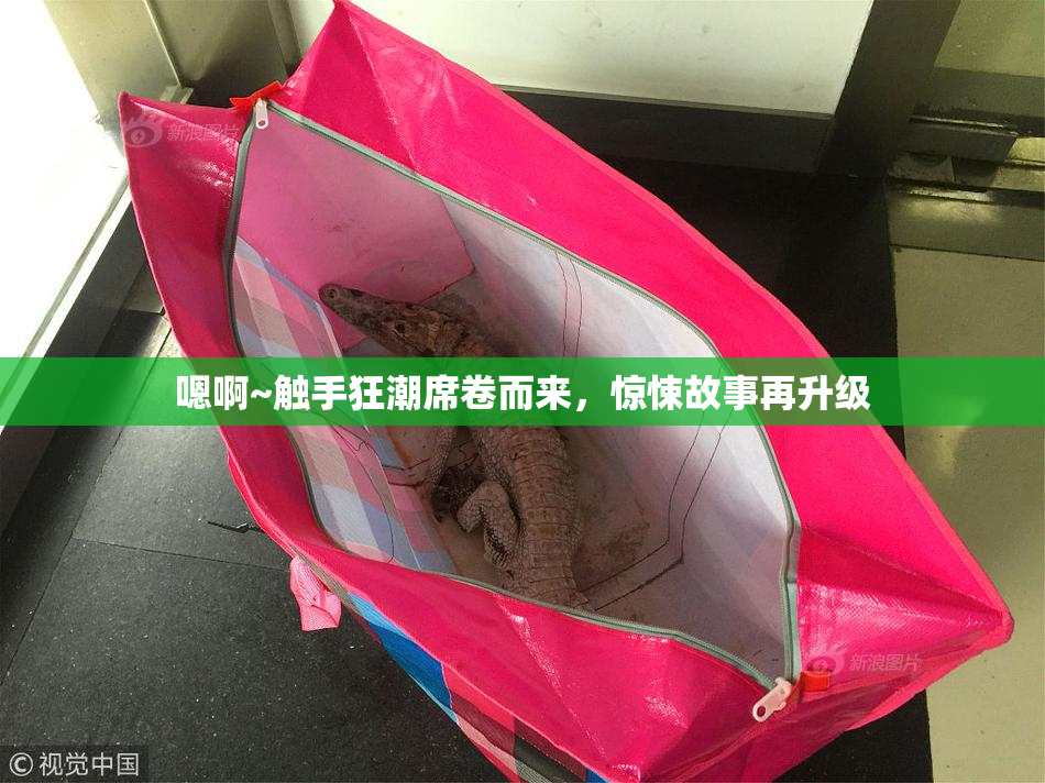 嗯啊~触手狂潮席卷而来，惊悚故事再升级