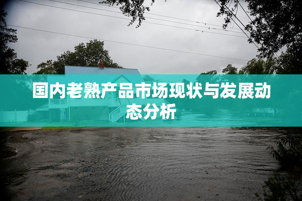 国内老熟产品市场现状与发展动态分析