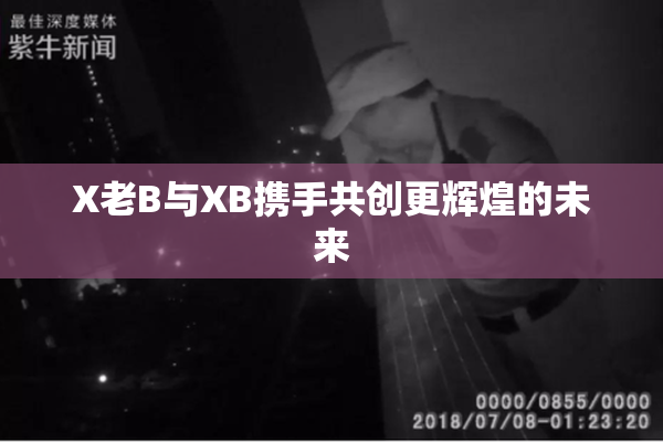 X老B与XB携手共创更辉煌的未来